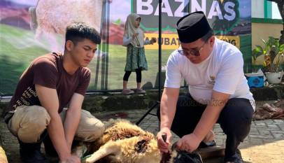 Ketua BAZNAS Kabupaten Bandung saat penyembelihan hewan kurban Idul Adha.