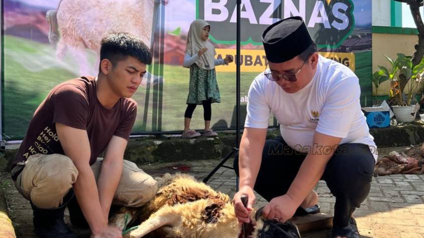 Ketua BAZNAS Kabupaten Bandung saat penyembelihan hewan kurban Idul Adha.